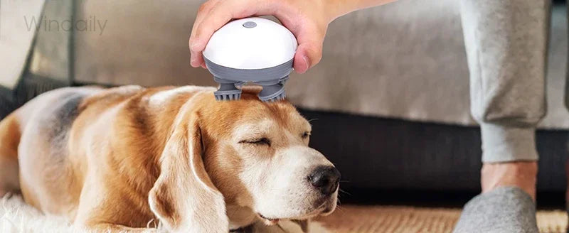 Electric Scalp Head Massager - Kneading & Vibrating Technology for Hair Growth & Tension Relief